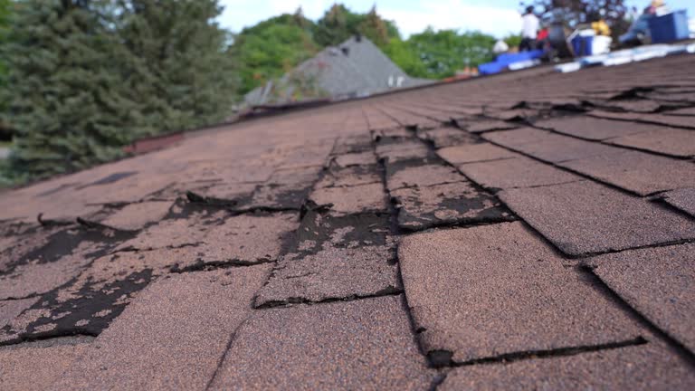 Best Chimney Flashing Repair  in Pico Rivera, CA