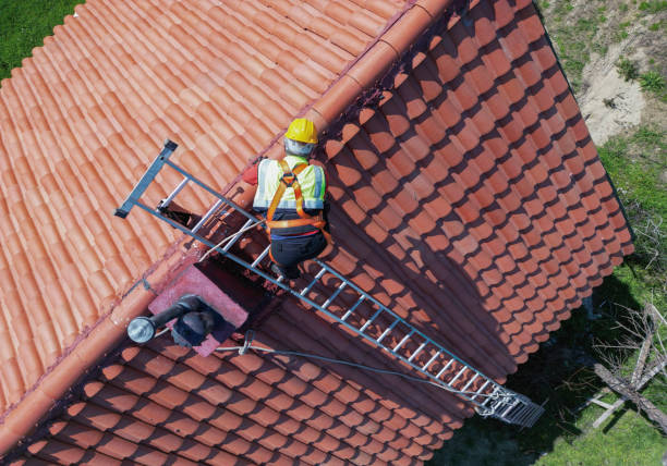 Best Skylight Installation and Repair  in Pico Rivera, CA